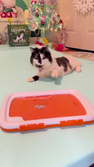 Painting with Phoebe: Shawnee’s Keychain 🩵