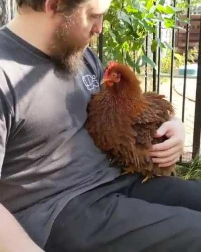 This is how you know Harriet wants to be hugged