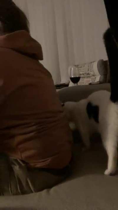 Excuse me please, I’m ready for the pets…