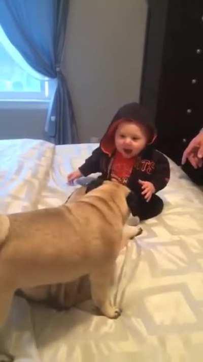 PaCk Of DoGs MaUL sCreAmiNg BaBy