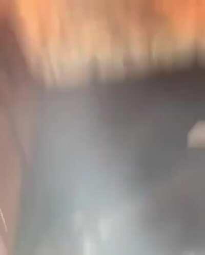 Not getting the FLAMMABLE DOG AWAY FROM THE FIRE OR STOPPING THE FIRE