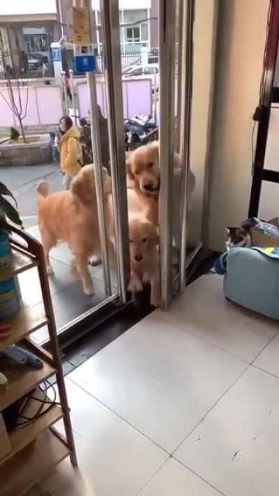 Helping others like us