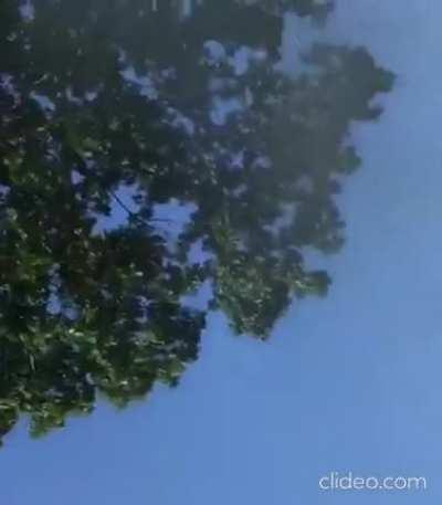 Whatever you’re expecting... yup that’s it