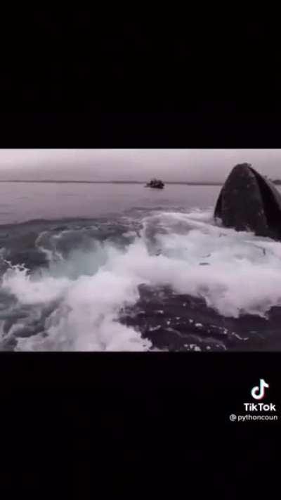 Just gonna leave this here :)