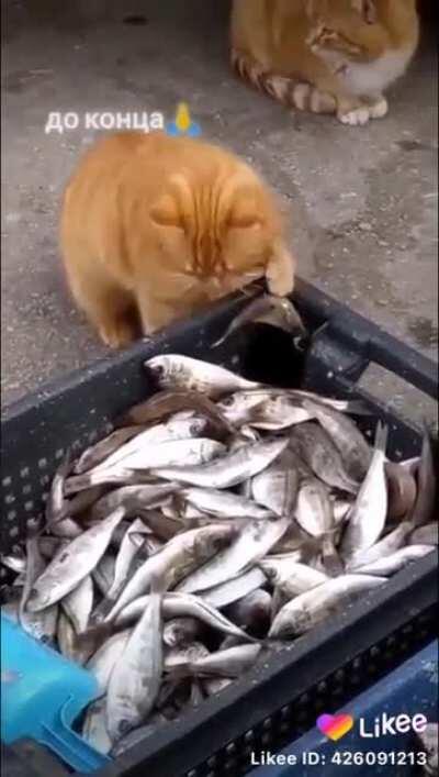 When you choose the right friend