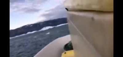 Men escaping a iceberg tsunami to free bird