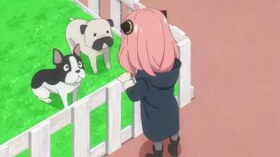 Iggy in his afterlife 😔😔