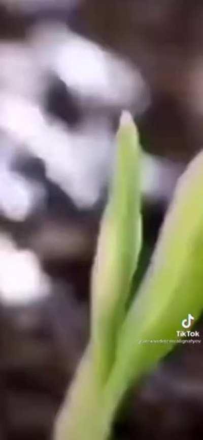 Ahora lo veo todo claro