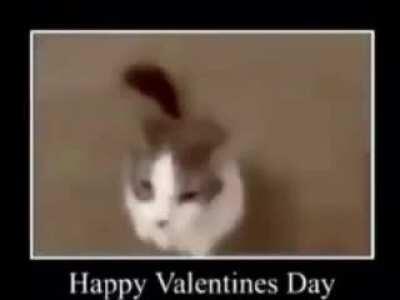 happy valentines day