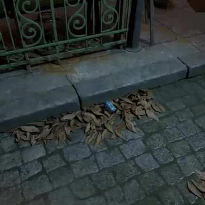 Don't drink water (made by CoreyLaddo)