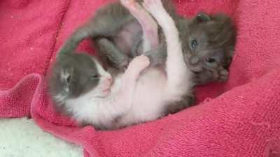 Starting to figure out bath time!