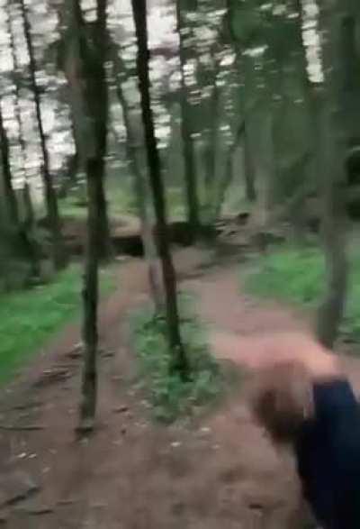 WCGW jumping off this trunk