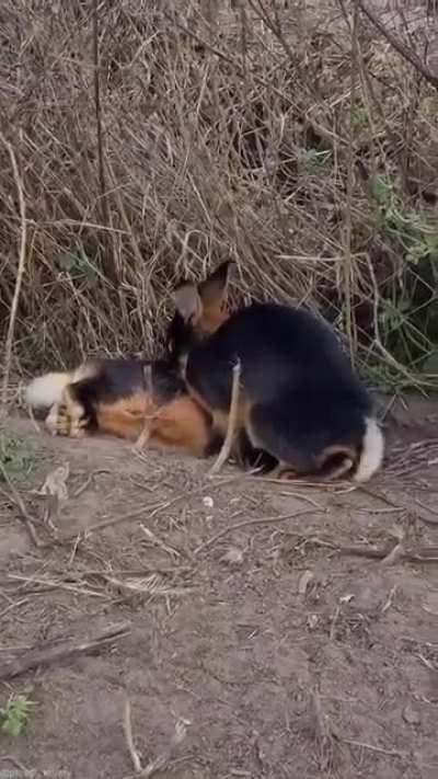 С другой стороны надо!