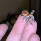 We’re having a dance party and you’re invited!