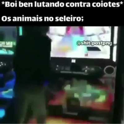 Música pfv