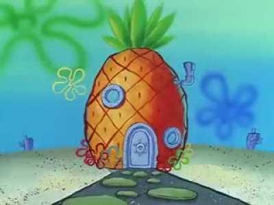 An entire spongebob episode