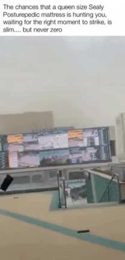 Sealy, the posturepedic manhunter.