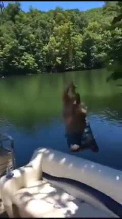 did you really think that branch would support so much weight?