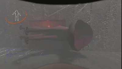 Eyeless dog made a fatal mistake 