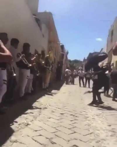 Xenomorph spotted in Mexico