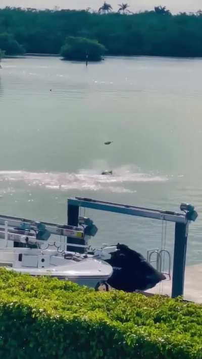 What's going on here?