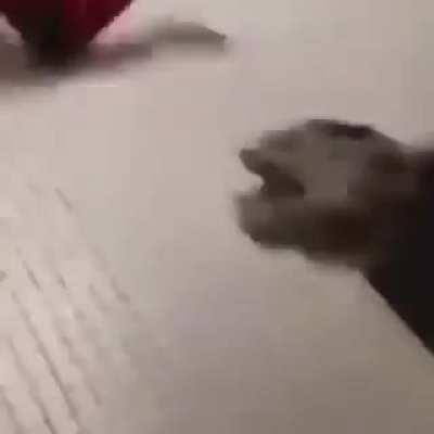 that nigga's brain=damaged