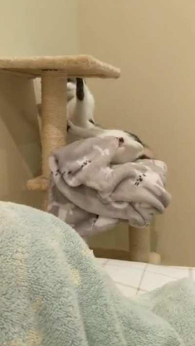 A typical night with this guy