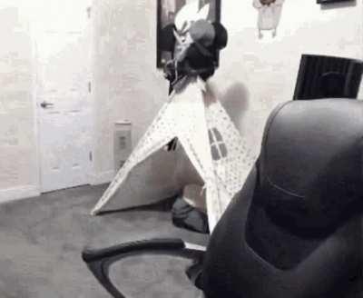 Run for your life Charlie