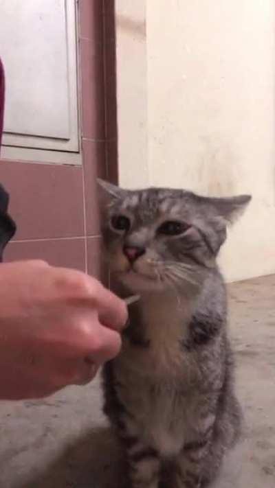 ready to take off after this treat!