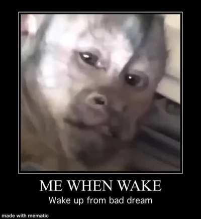 What if it all was a dream 😞✌🏻