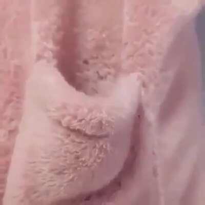 Beware the pocket monster