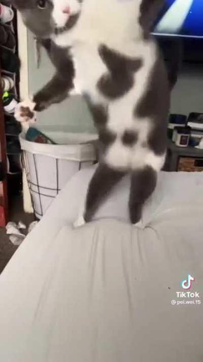 We can create greebles!?!