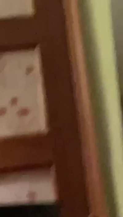 Anal @whitegirldemon