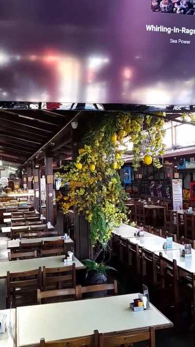 I put some DE music to play at a restaurant I work