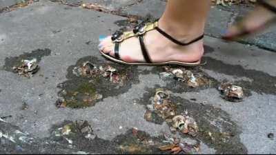 Polina | Sandals | Snail