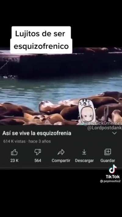 Que suerte tienen algunos 😔😔😭