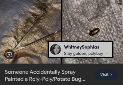 Stay golden, polyboy.