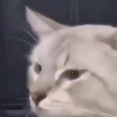 es el muchacho de los ojos tristes