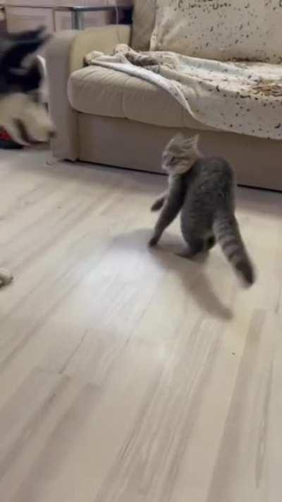 Немного музыки