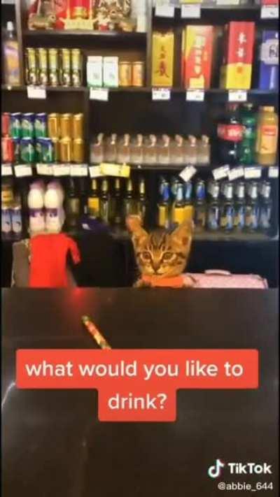 It's his first day guys