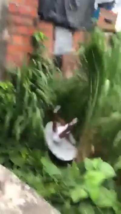 Arthur ao ver a Ivete prestes a levar um tiro