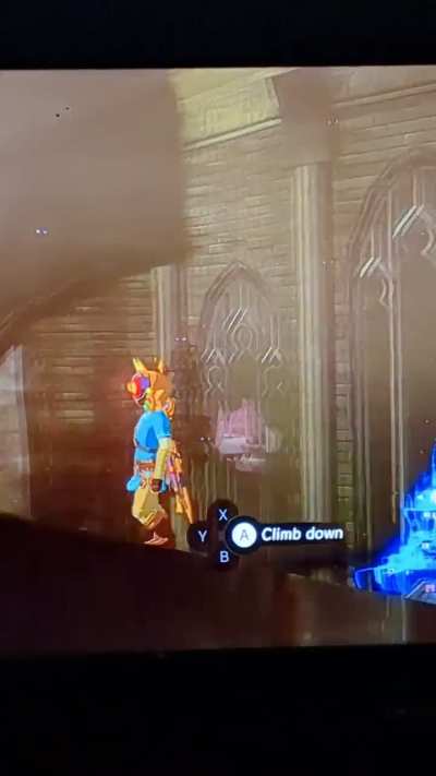 Has anyone else noticed this in Botw?
