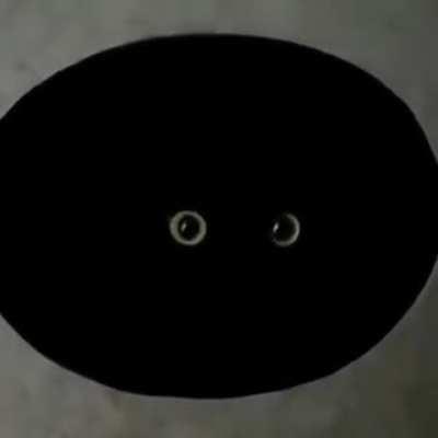 Which one of ya's been feeding chicken to the voids again? I thought I told ya to not feed the unending darkness incarnate...