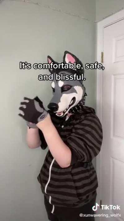 That tail wag tho 🤩