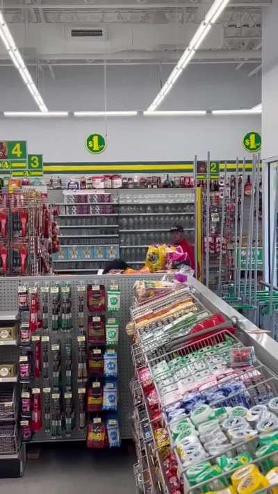 Winnipeg Dollarama security drags out shoplifter