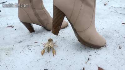 Goddess Amelia 💜💜💜