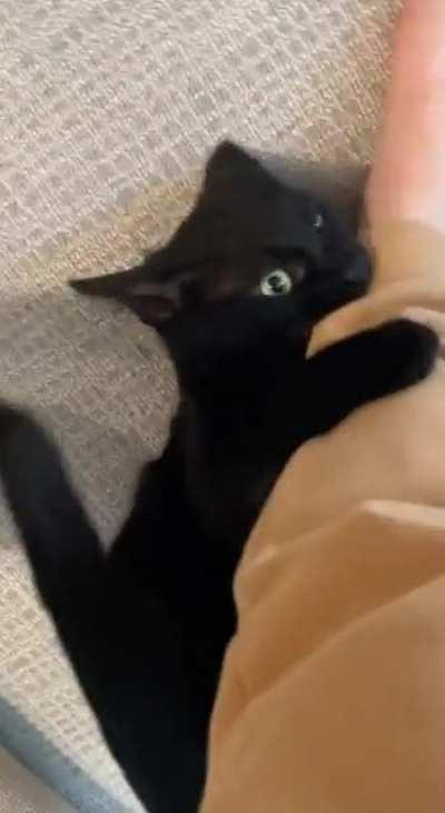 When they are so many options on the menu that you can't decide