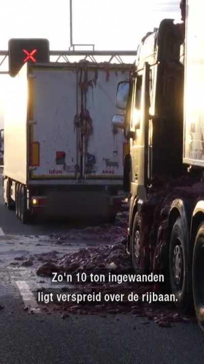 truck carrying slaughter waste has a small accident
