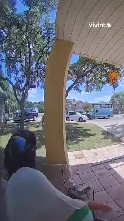 What is the weight limit?