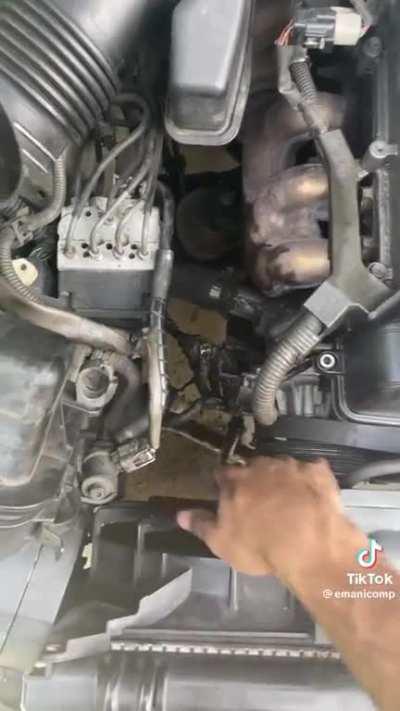 Sissy liberal boy hands